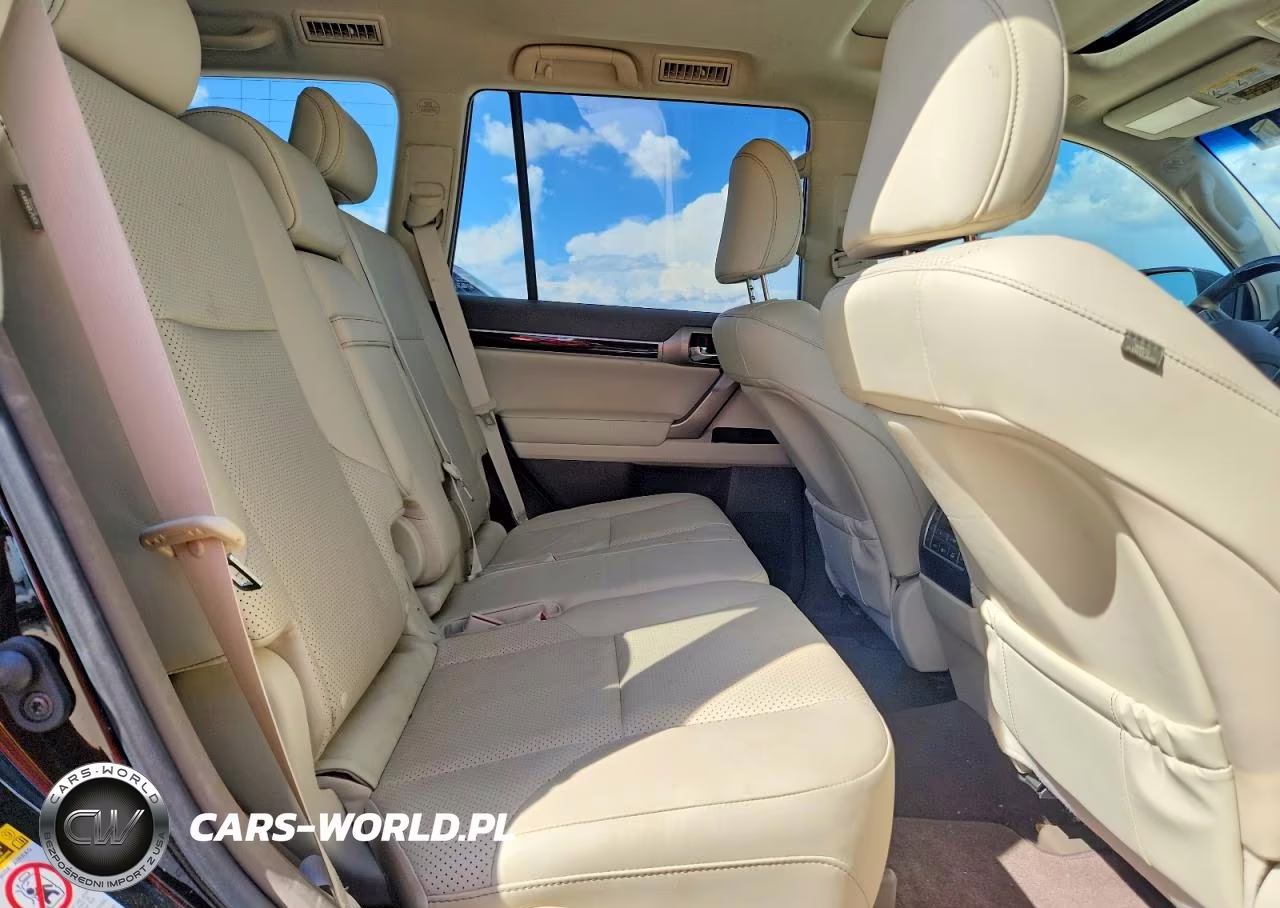 2019 Lexus Gx 460 Premium VIN:JTJJM7FX5K5217116 - 11