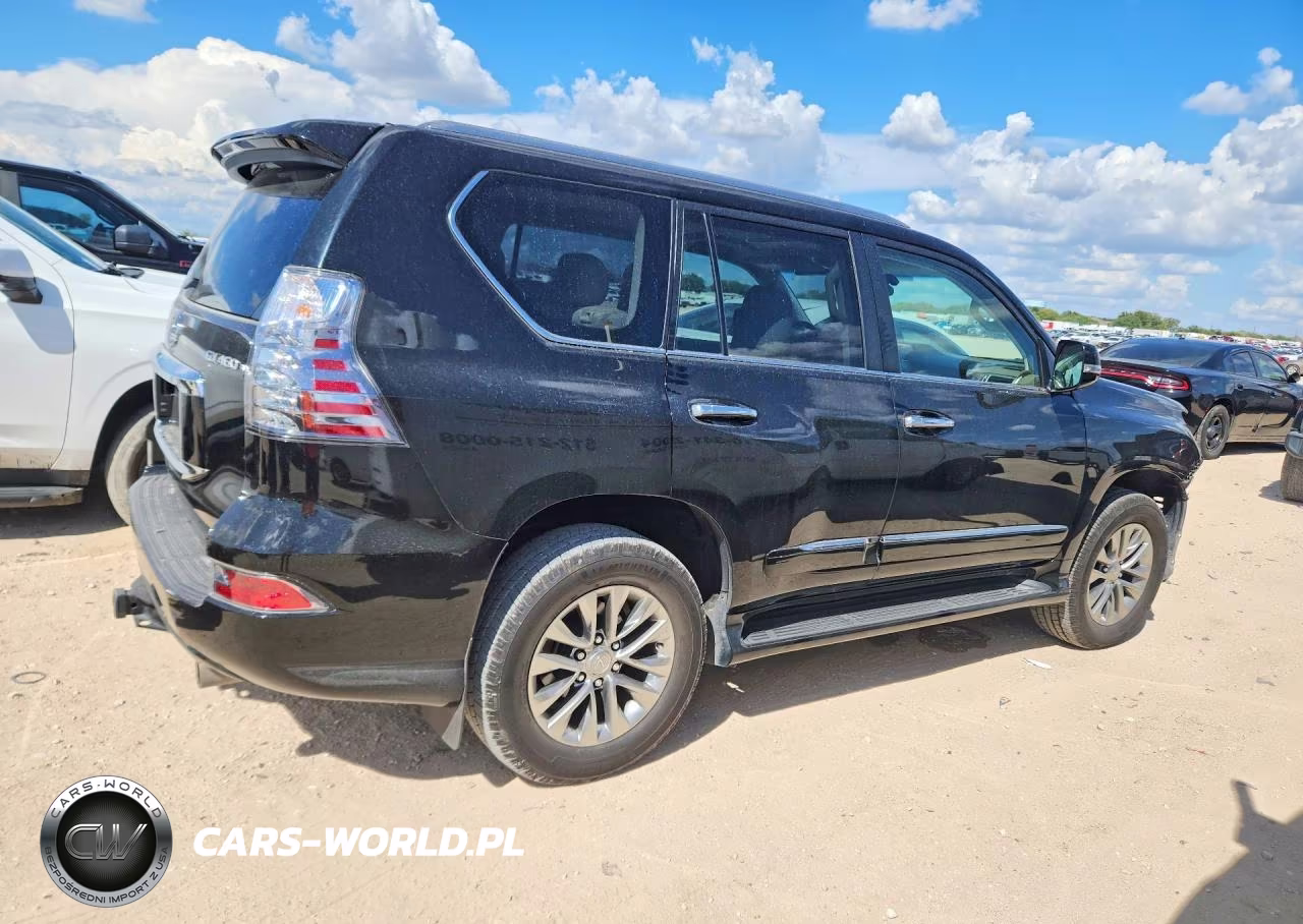 2019 Lexus Gx 460 Premium VIN:JTJJM7FX5K5217116 - 3