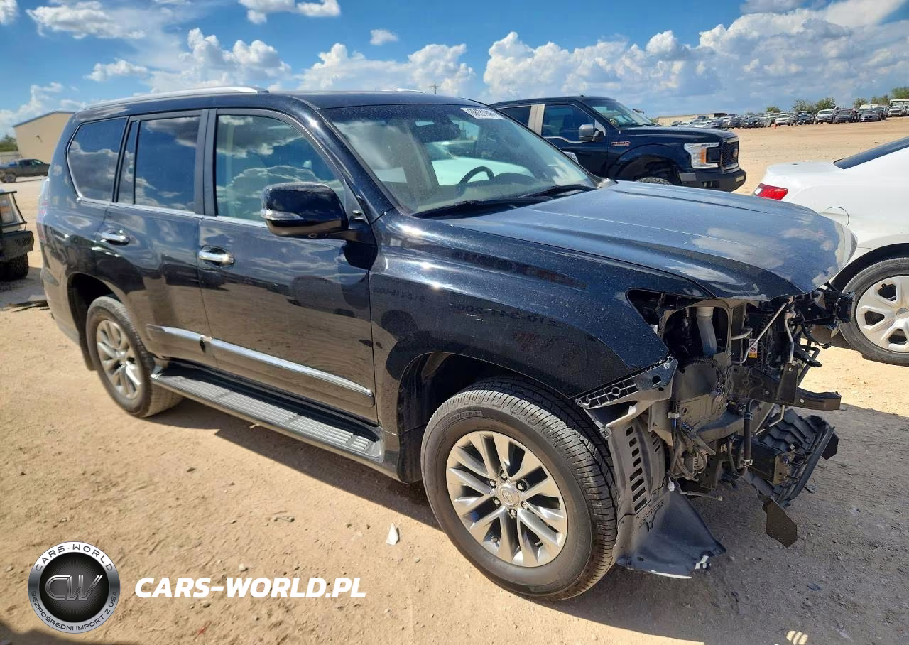 2019 Lexus Gx 460 Premium VIN:JTJJM7FX5K5217116 - 4