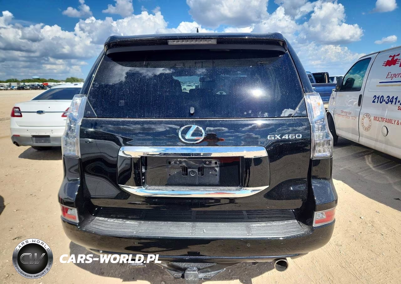 2019 Lexus Gx 460 Premium VIN:JTJJM7FX5K5217116 - 6