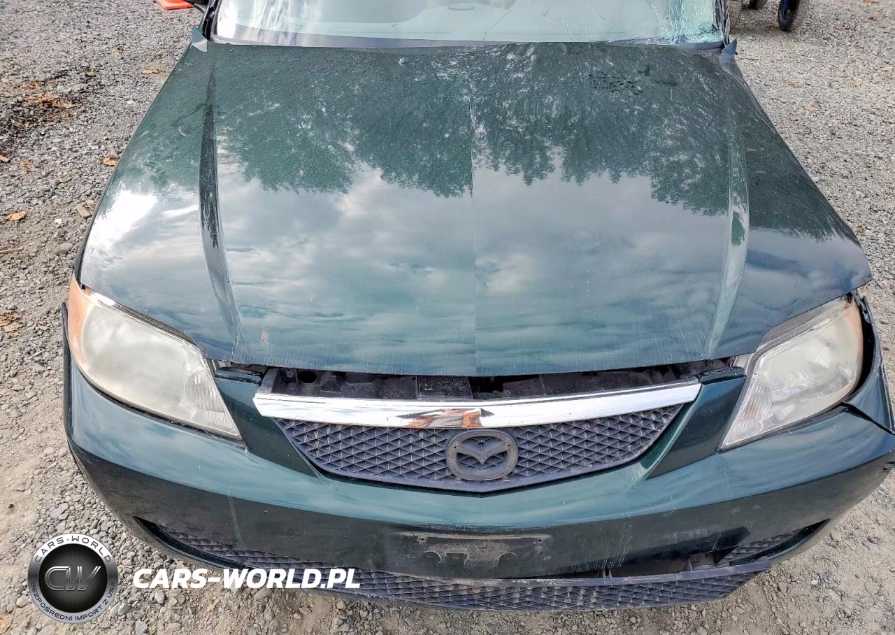 2002 Mazda Protege Dx VIN:JM1BJ225020582145 - 11