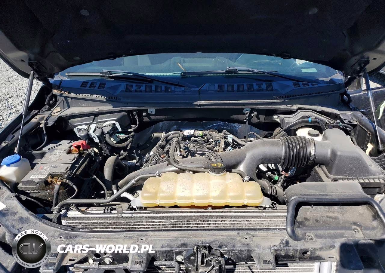 2020 Ford F150 Supercrew VIN:1FTEW1EPXLFB31132 - 11