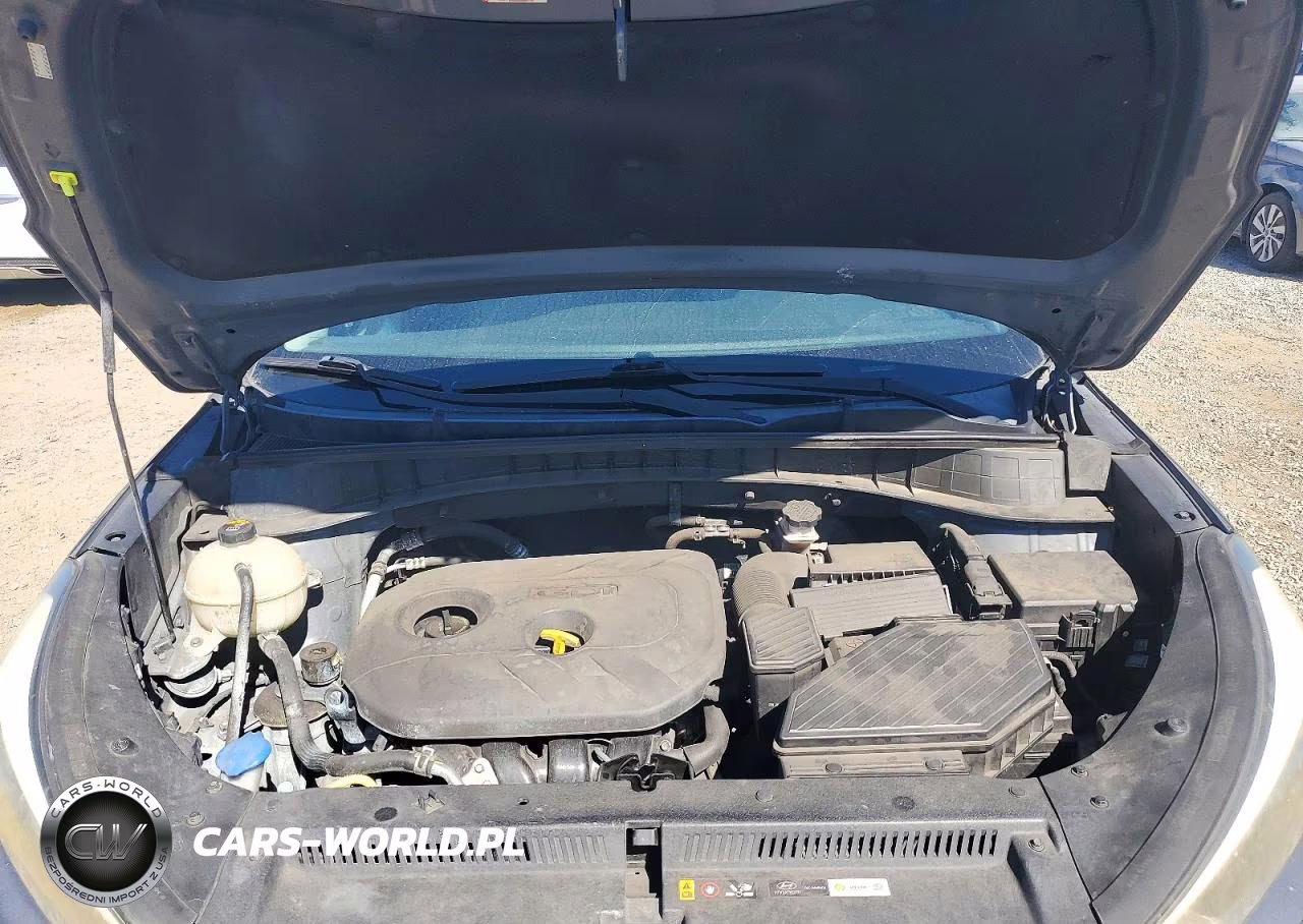 2016 Hyundai Tucson Se VIN:KM8J33A47GU239543 - 12