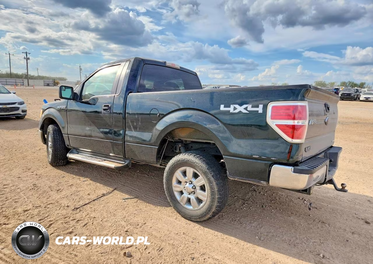 2013 Ford F150 VIN:1FTMF1EMXDKF00646 - 2