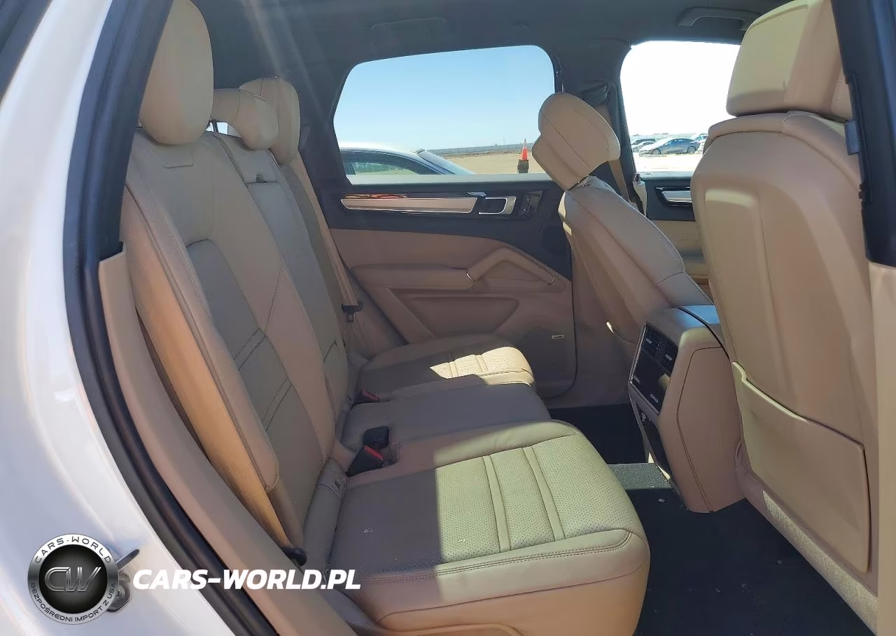 2023 Porsche Cayenne Platinum Edition VIN:WP1AA2AY1PDA09292 - 10