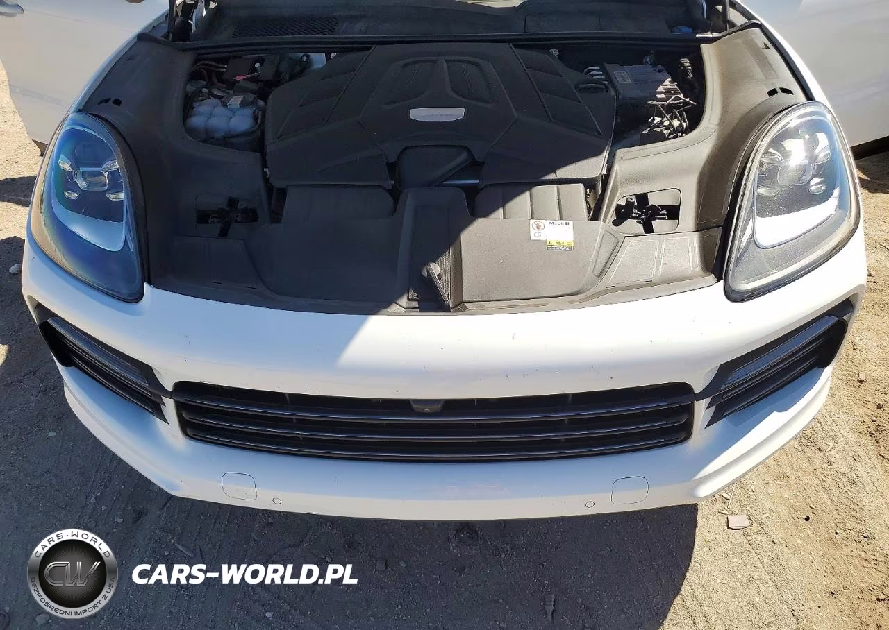 2023 Porsche Cayenne Platinum Edition VIN:WP1AA2AY1PDA09292 - 11
