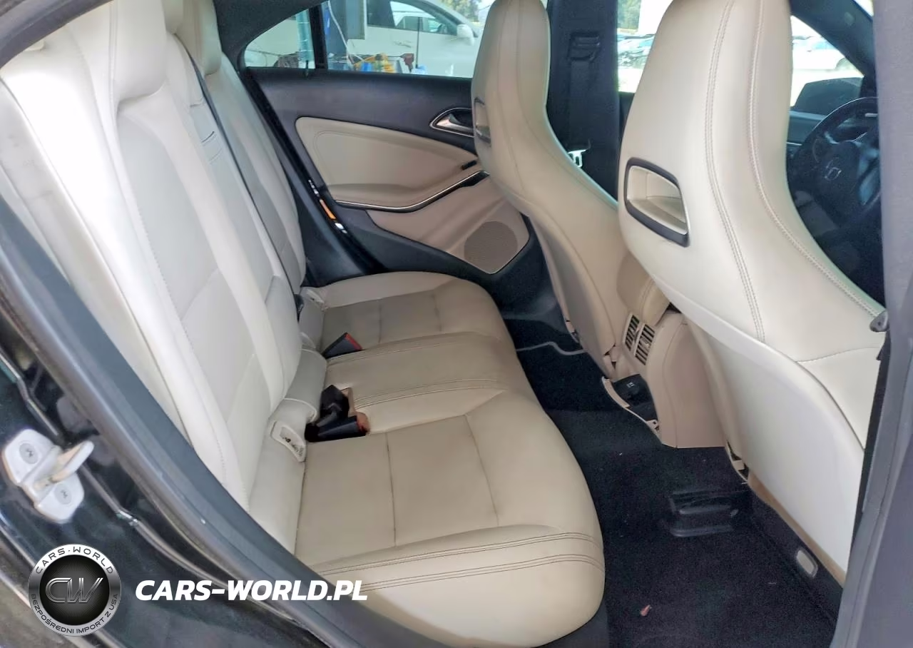 2016 Mercedes-Benz Cla 250 VIN:WDDSJ4EBXGN374688 - 10