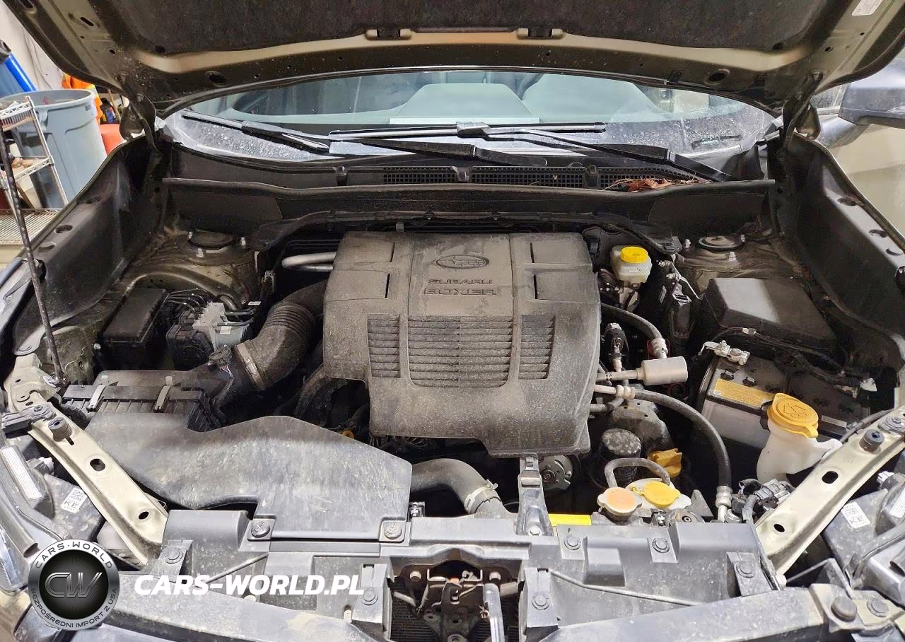 2024 Subaru Forester Wilderness VIN:JF2SKAJC1RH520712 - 12