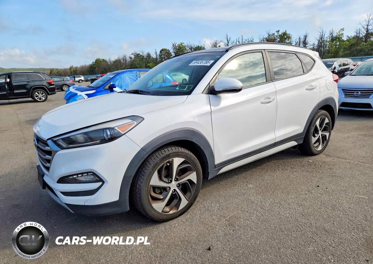 2017 Hyundai Tucson Value VIN:KM8J3CA26HU568962 - 1