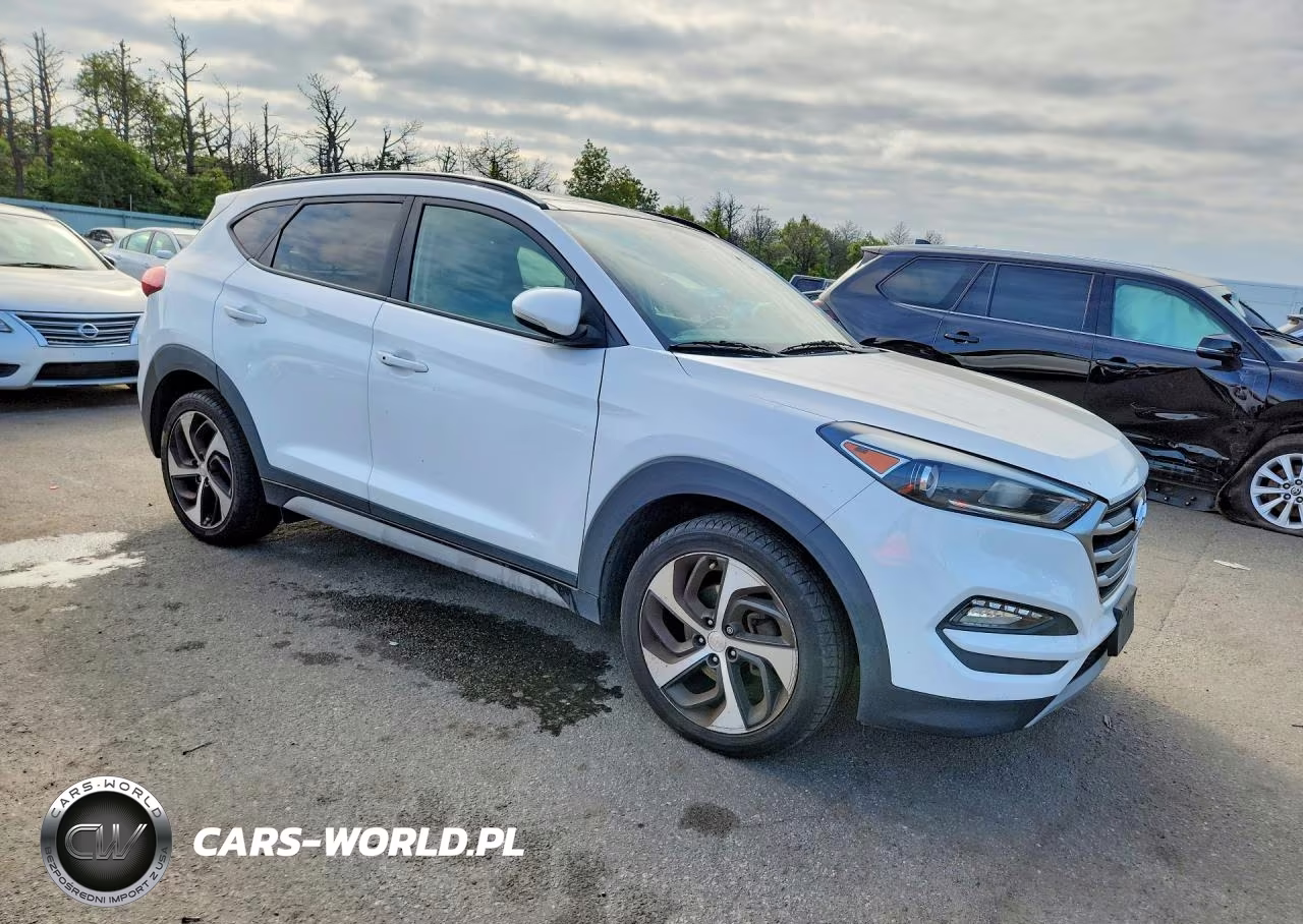 2017 Hyundai Tucson Value VIN:KM8J3CA26HU568962 - 4