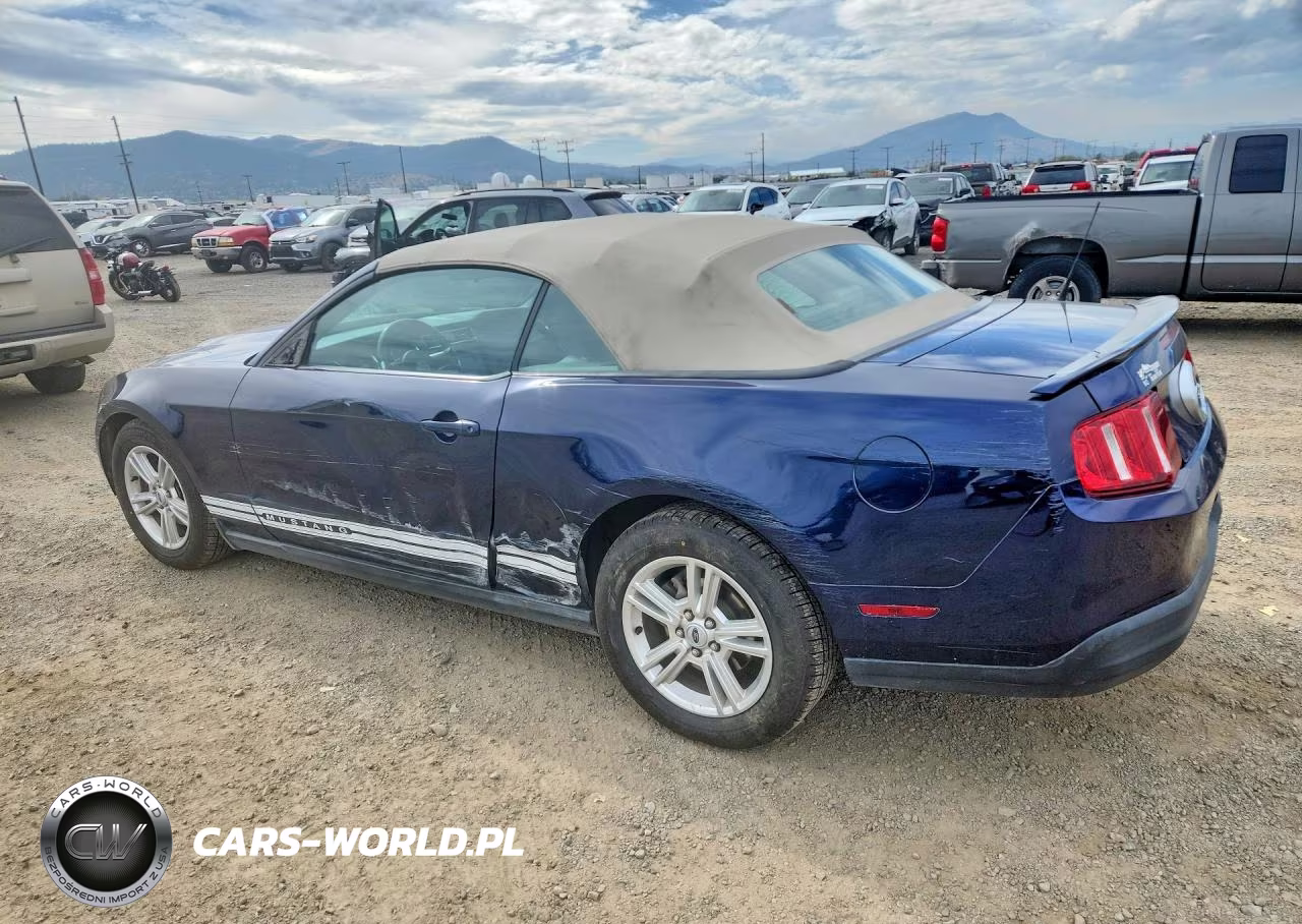2010 Ford Mustang VIN:1ZVBP8EN1A5167833 - 2