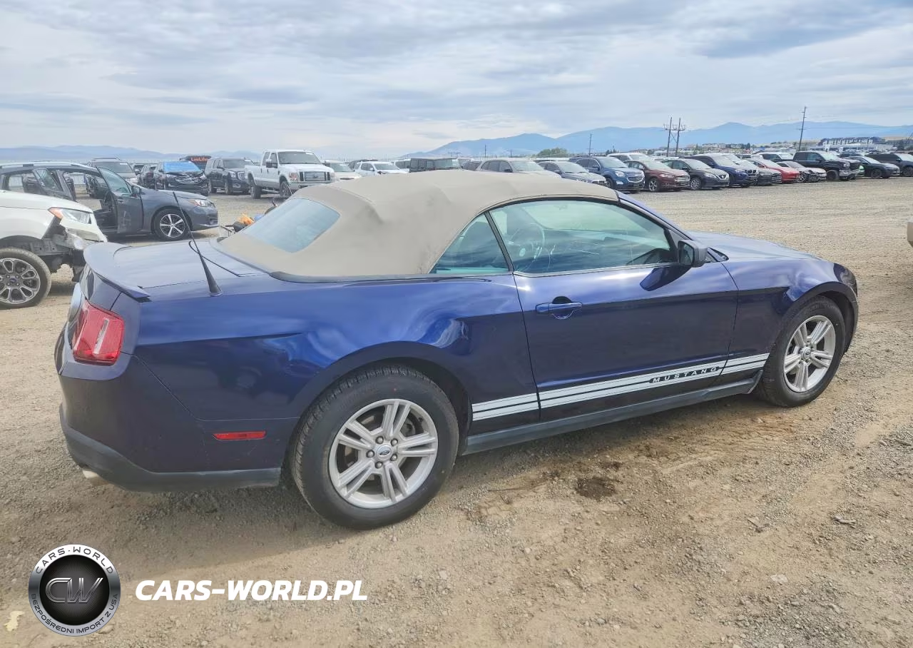 2010 Ford Mustang VIN:1ZVBP8EN1A5167833 - 3