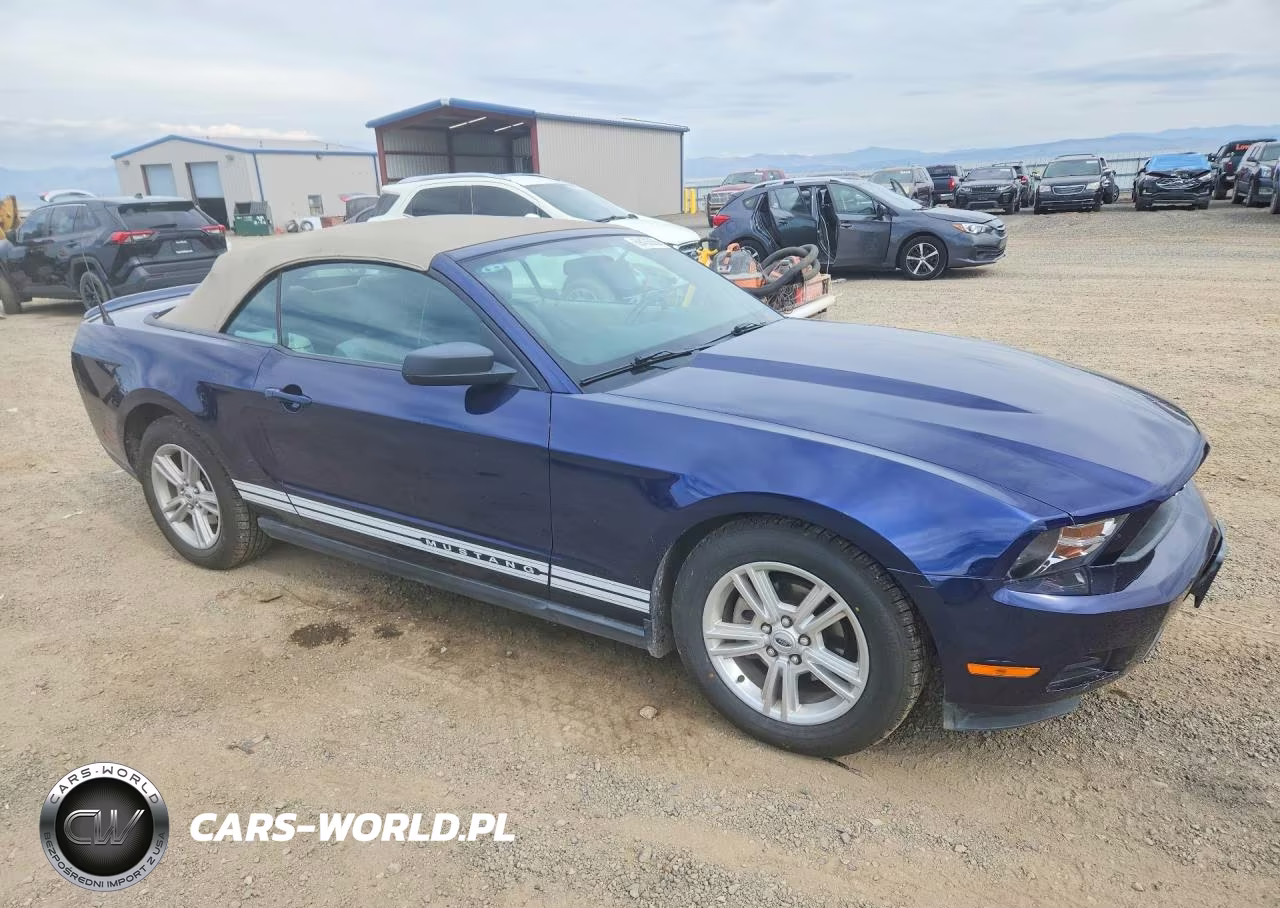 2010 Ford Mustang VIN:1ZVBP8EN1A5167833 - 4