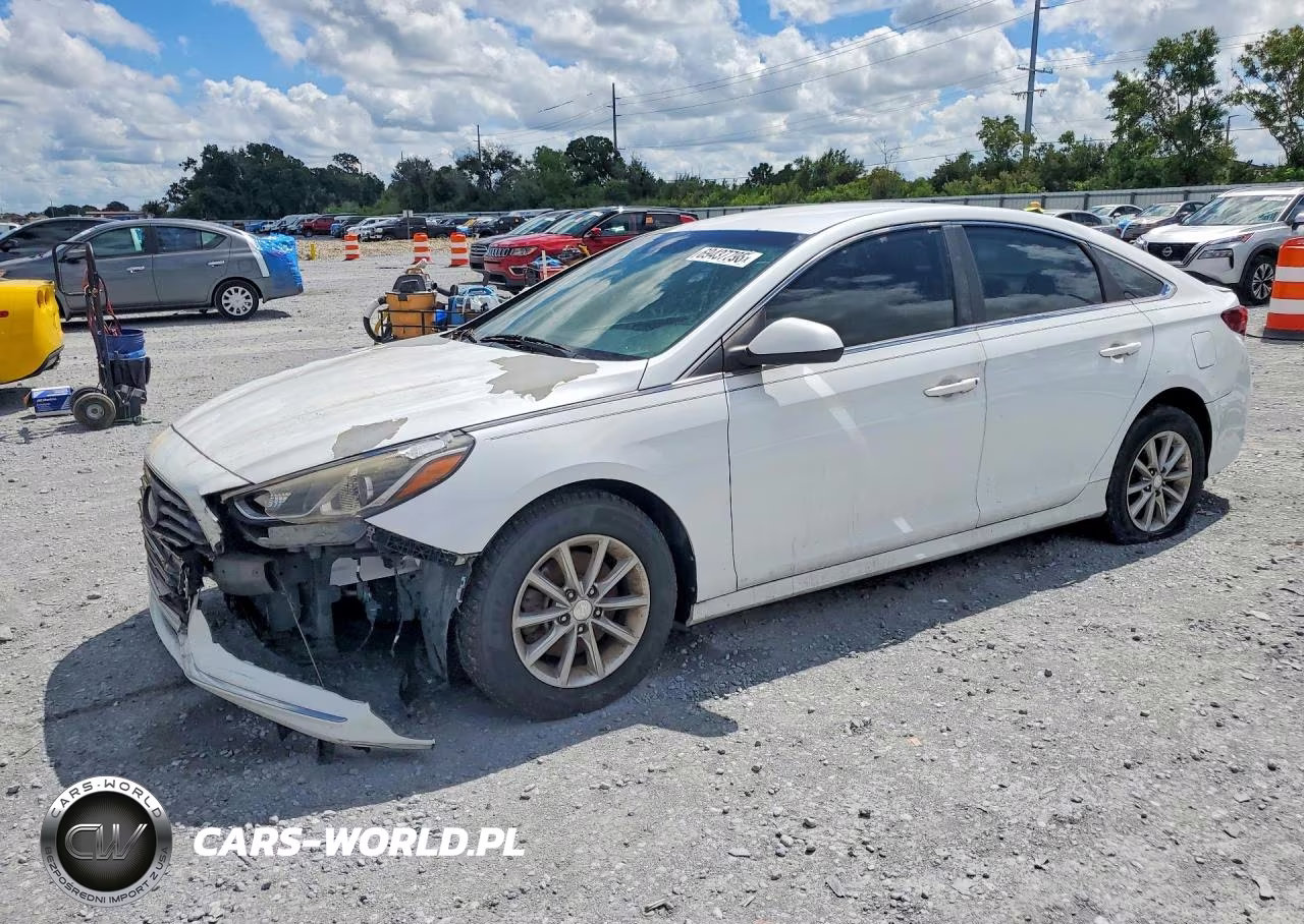 2019 Hyundai Sonata Se VIN:5NPE24AF4KH753093 - 1