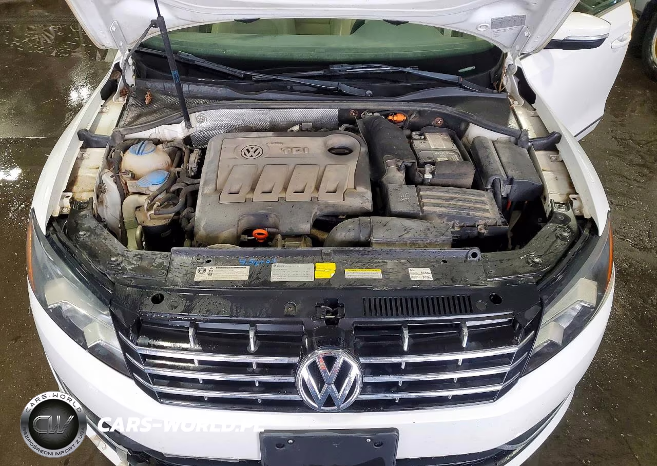 2013 Volkswagen Passat Sel VIN:1VWCN7A34DC106646 - 11