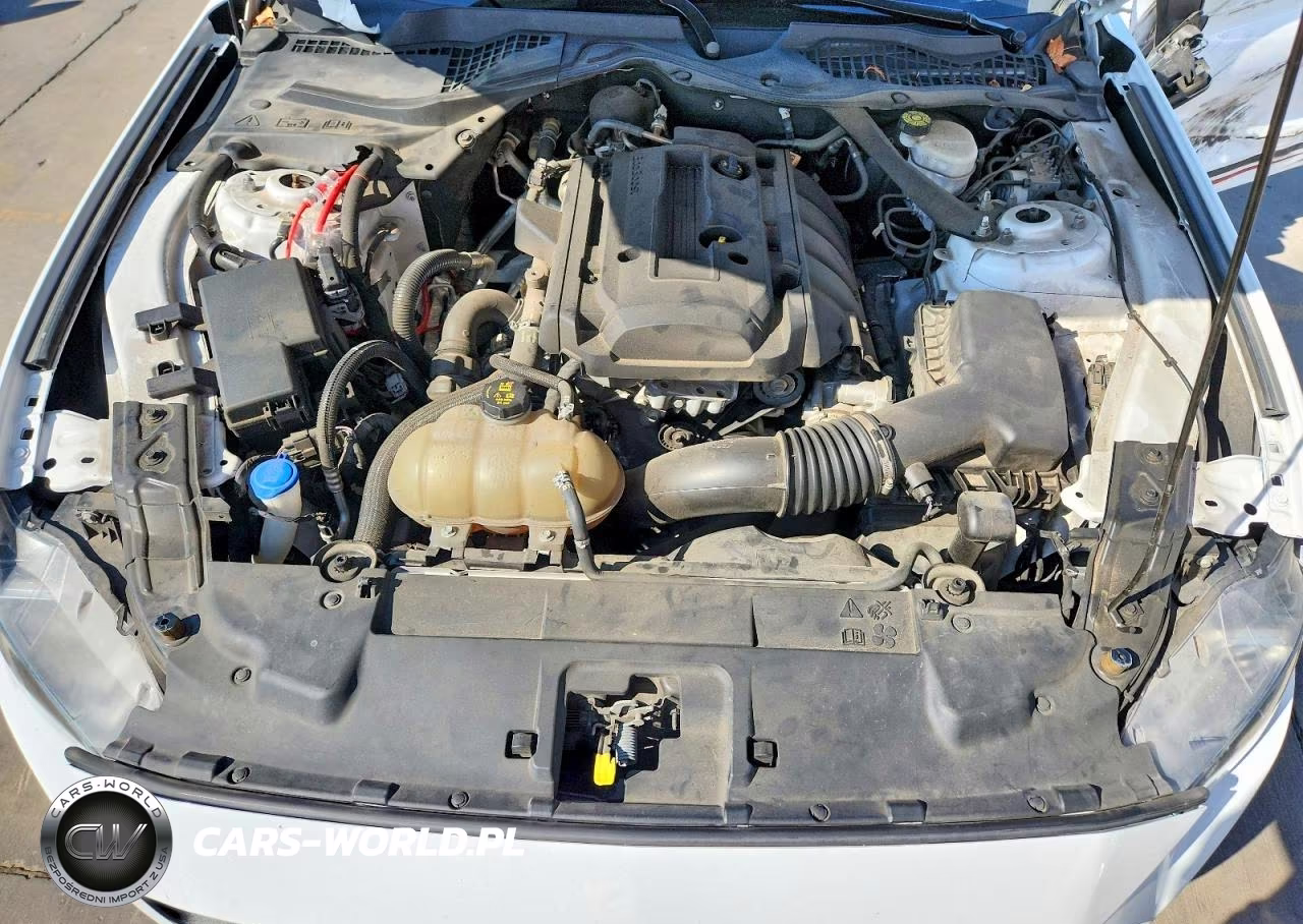 2020 Ford Mustang VIN:1FATP8UH5L5148097 - 11
