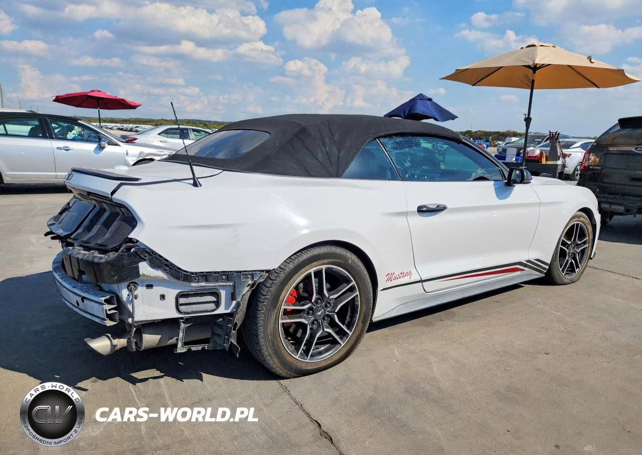 2020 Ford Mustang VIN:1FATP8UH5L5148097 - 3