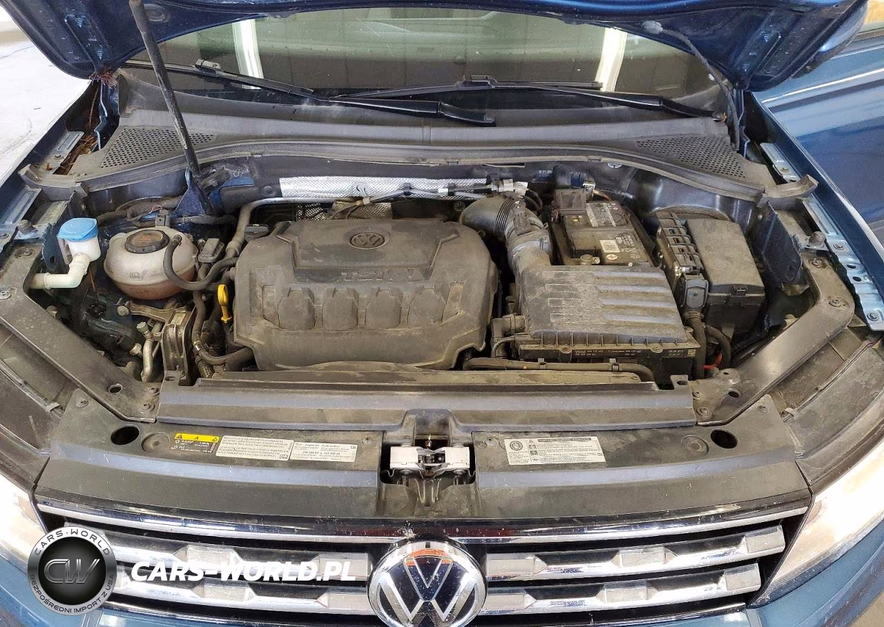 2019 Volkswagen Tiguan S VIN:3VV0B7AX9KM198786 - 12
