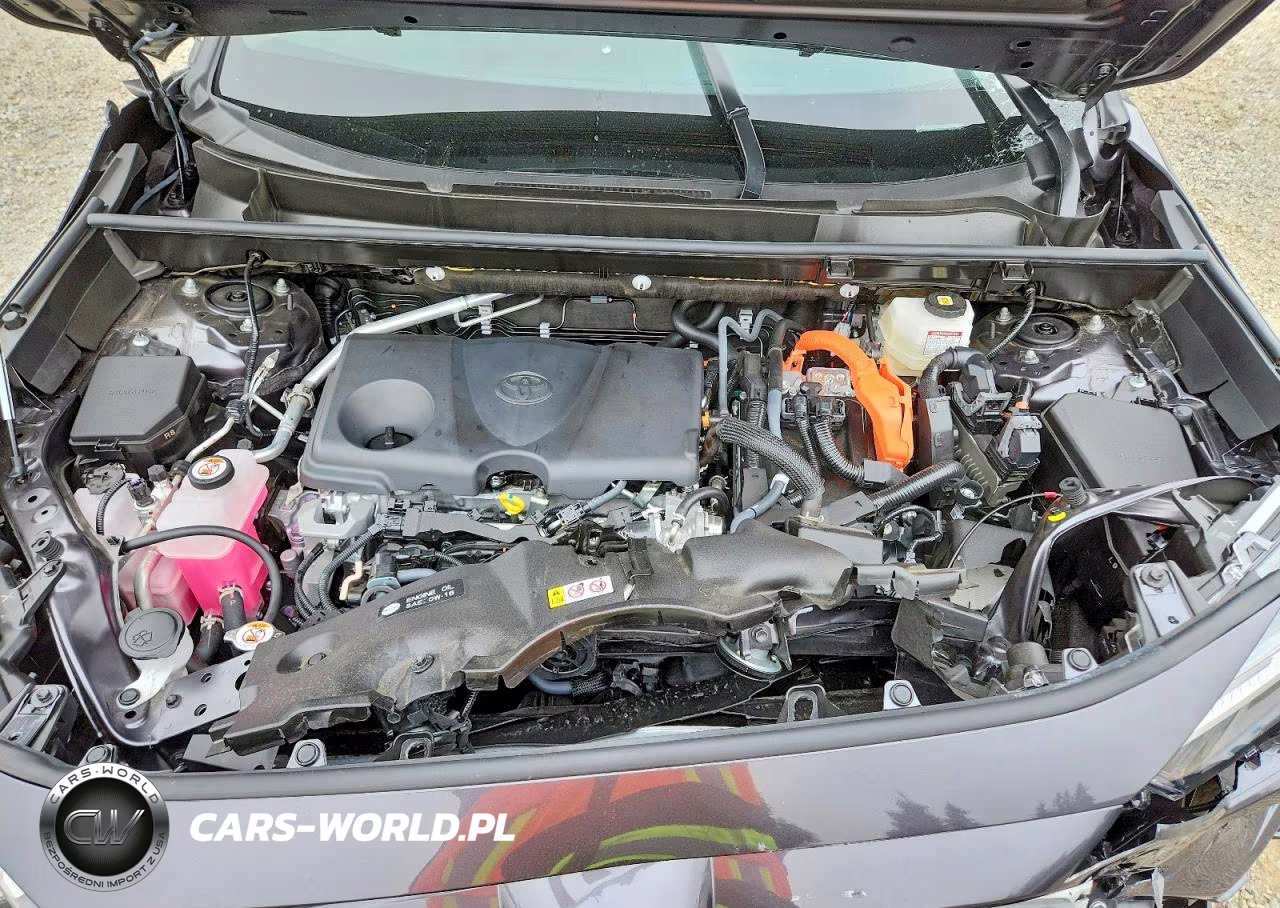 2025 Toyota Rav4 Hybrid Xle VIN:JTMRWRFV9SJ081686 - 12