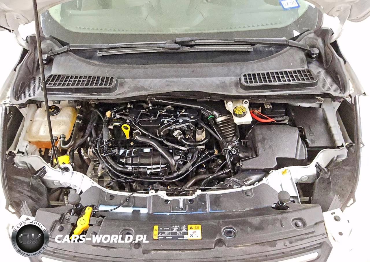 2014 Ford Escape Se VIN:1FMCU0GX1EUB79536 - 12