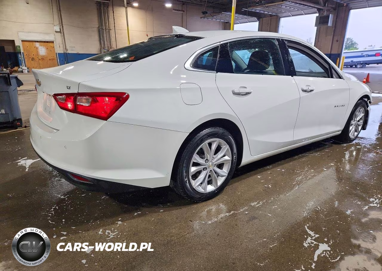 2023 Chevrolet Malibu Lt VIN:1G1ZD5ST2PF189895 - 3