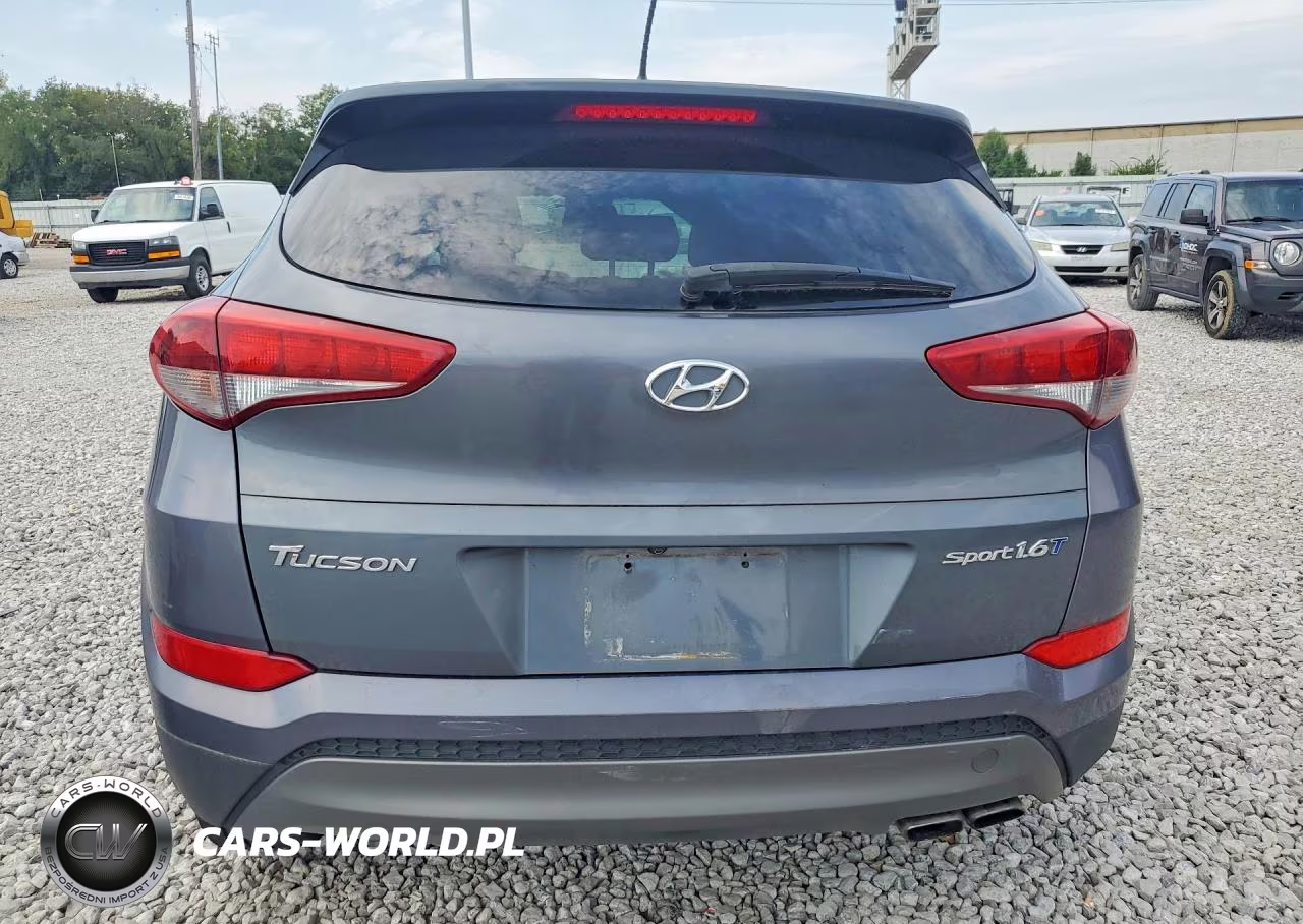 2016 Hyundai Tucson Sport VIN:KM8J33A20GU039053 - 6
