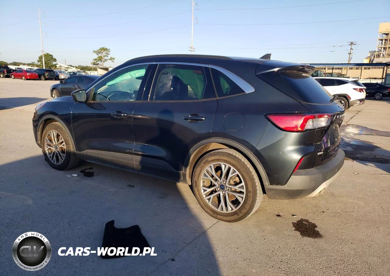 2022 Ford Escape Sel VIN:1FMCU0H69NUA35058 - 2