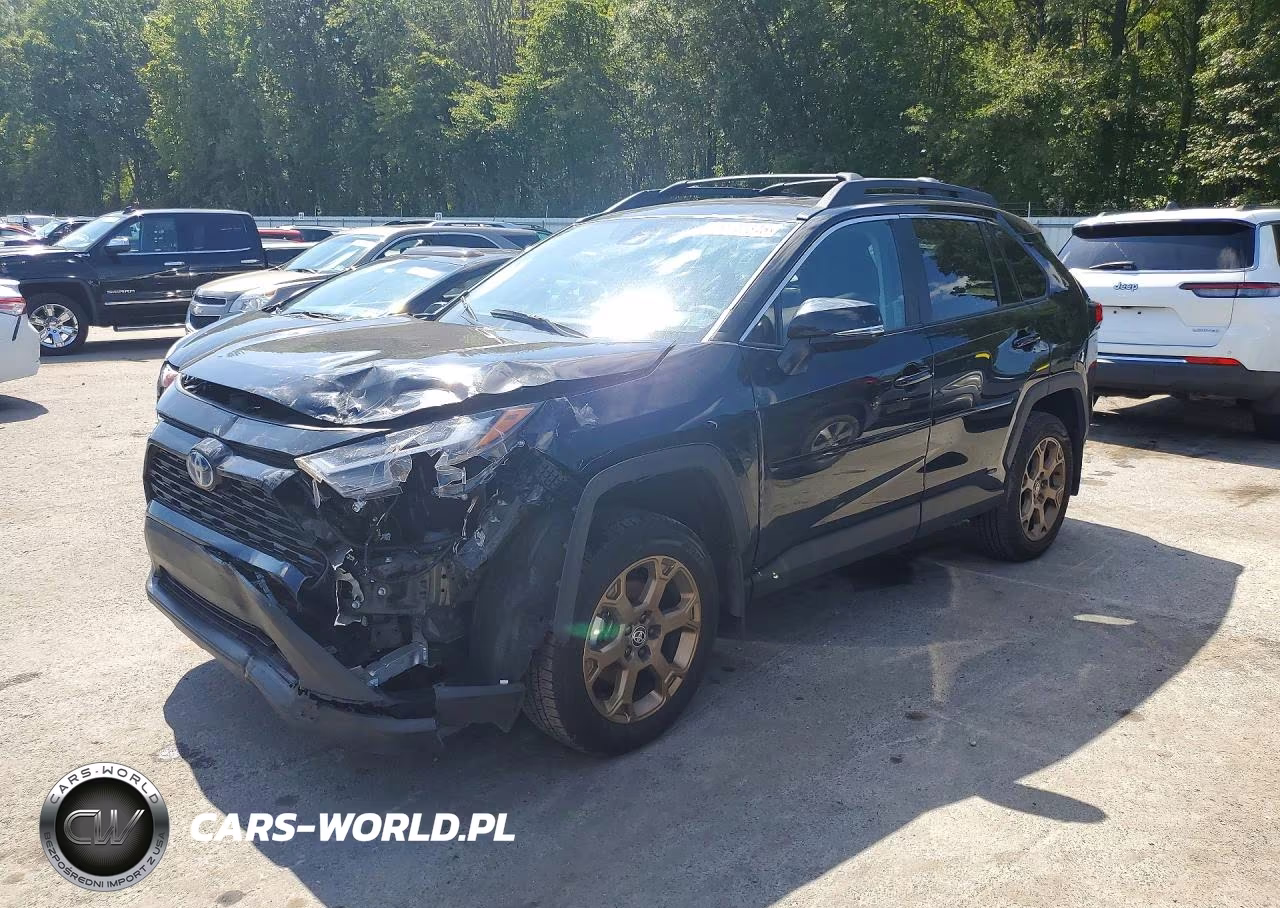 2024 Toyota Rav4 Woodland Edition – zdjęcie 1 z 13