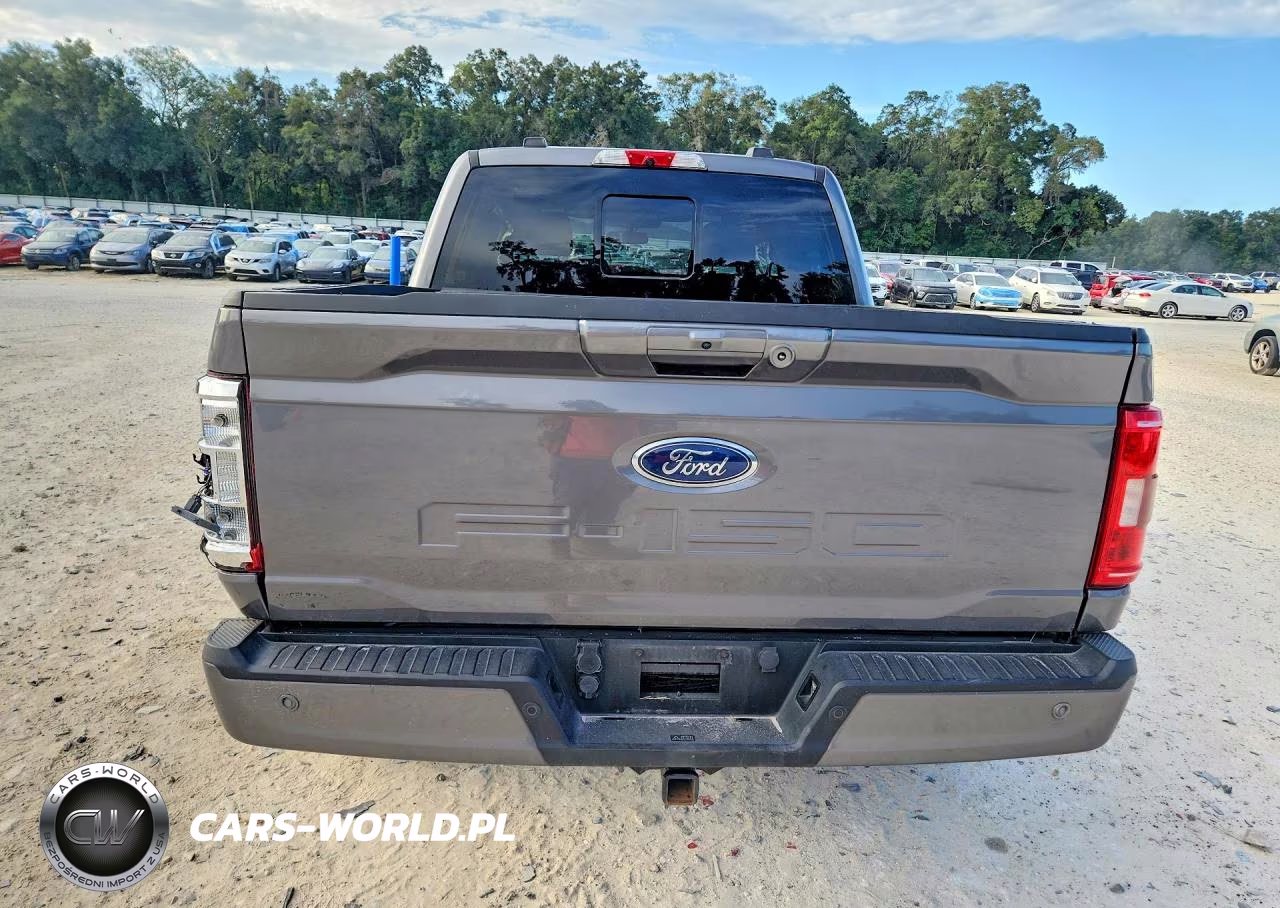 2022 Ford F150 Supercrew VIN:1FTEW1C51NFA61315 - 6