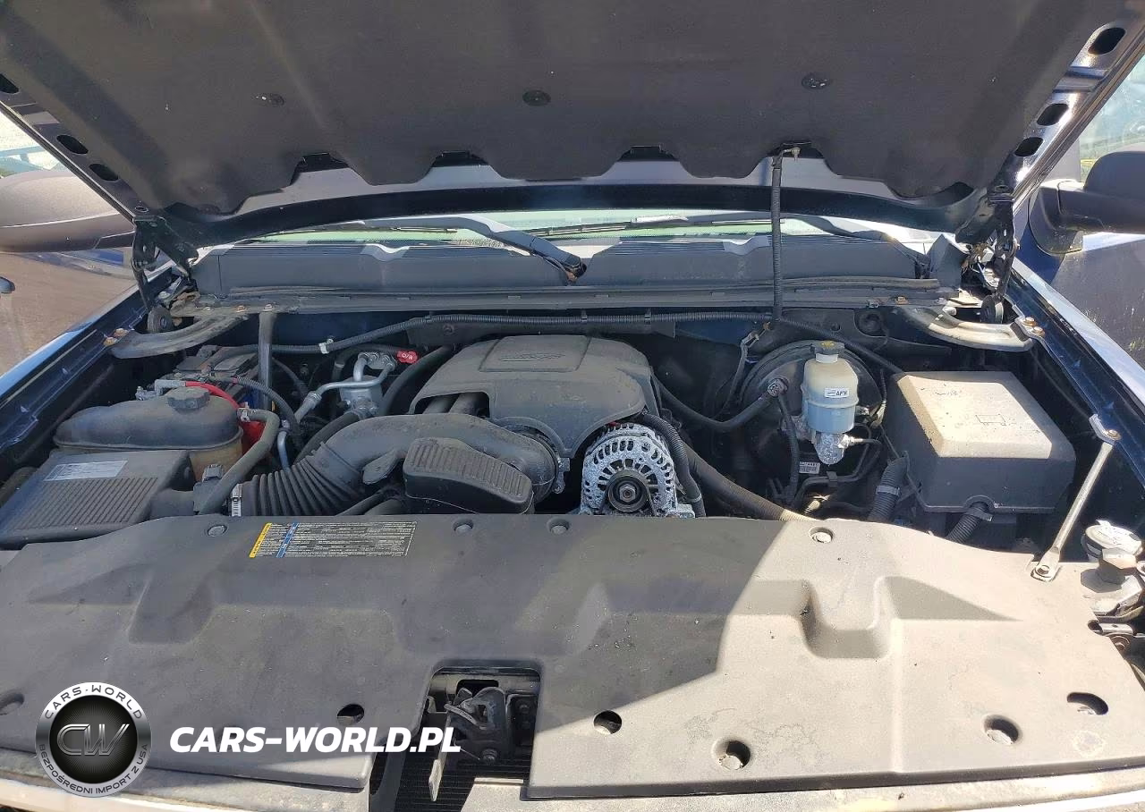 2010 Chevrolet Silverado K1500 Ls VIN:3GCRKREA1AG196180 - 11