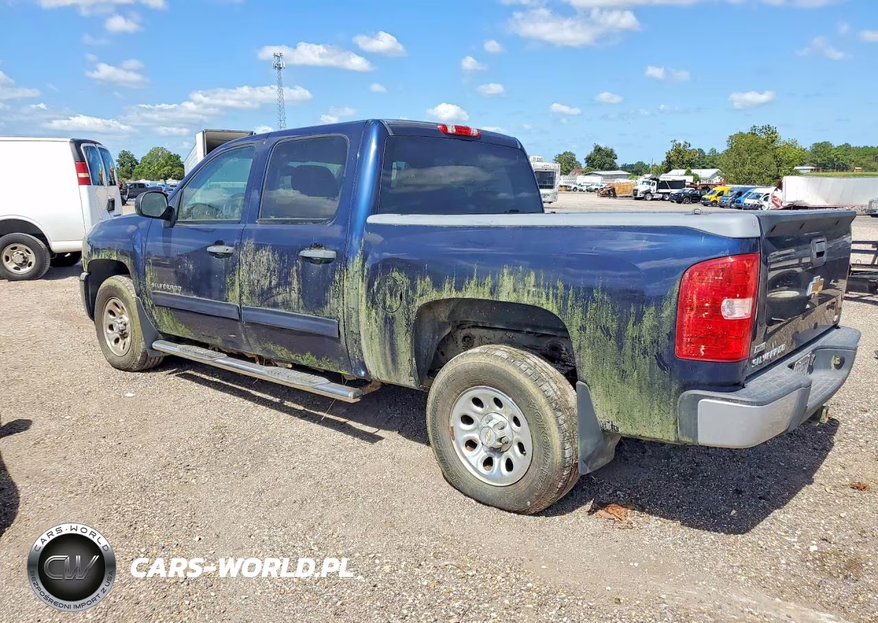 2010 Chevrolet Silverado K1500 Ls VIN:3GCRKREA1AG196180 - 2