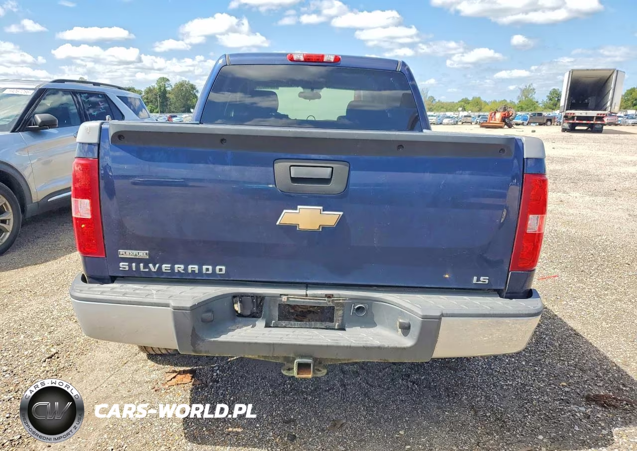 2010 Chevrolet Silverado K1500 Ls VIN:3GCRKREA1AG196180 - 6