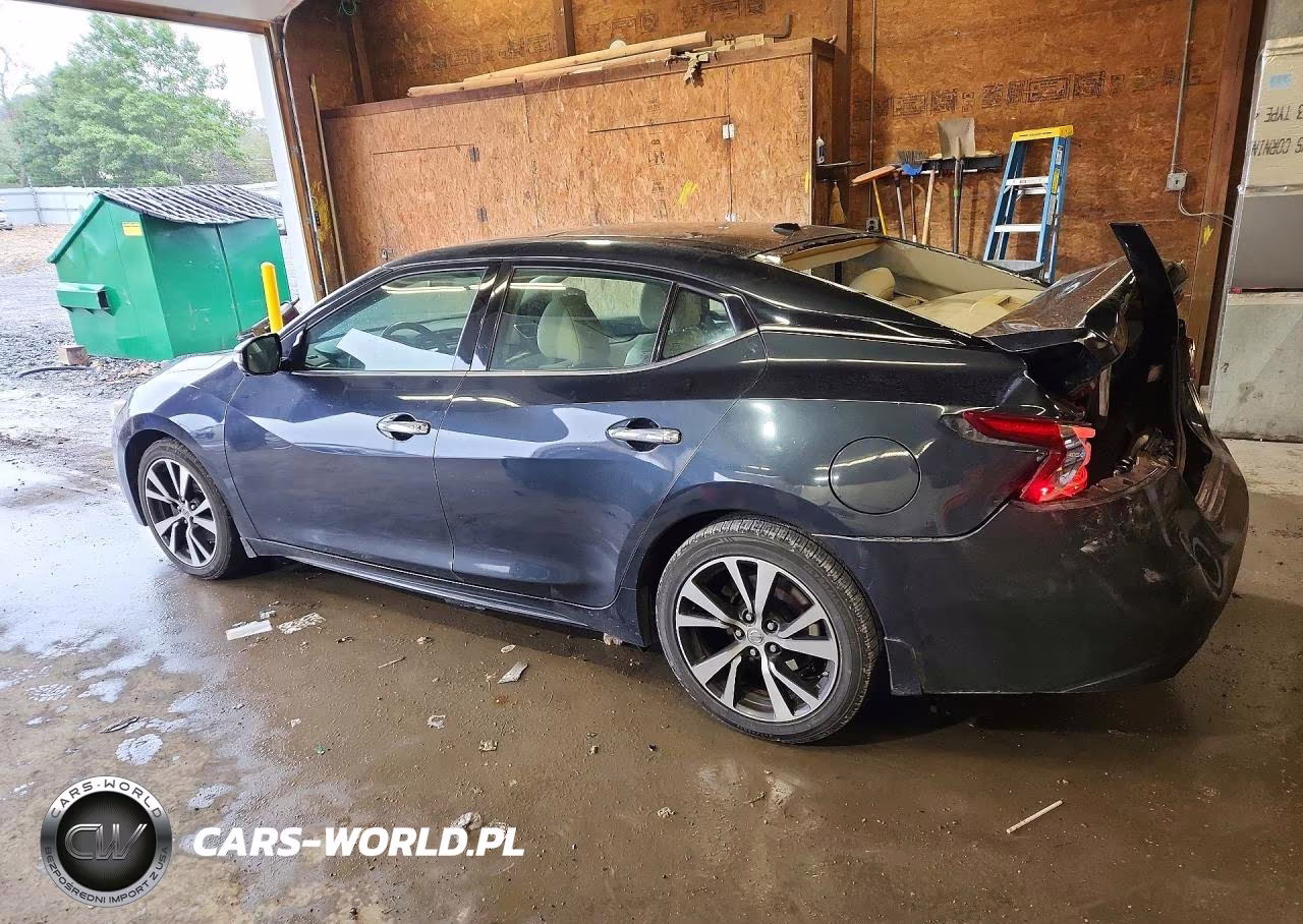 2016 Nissan Maxima Platinum VIN:1N4AA6AP3GC420091 - 2