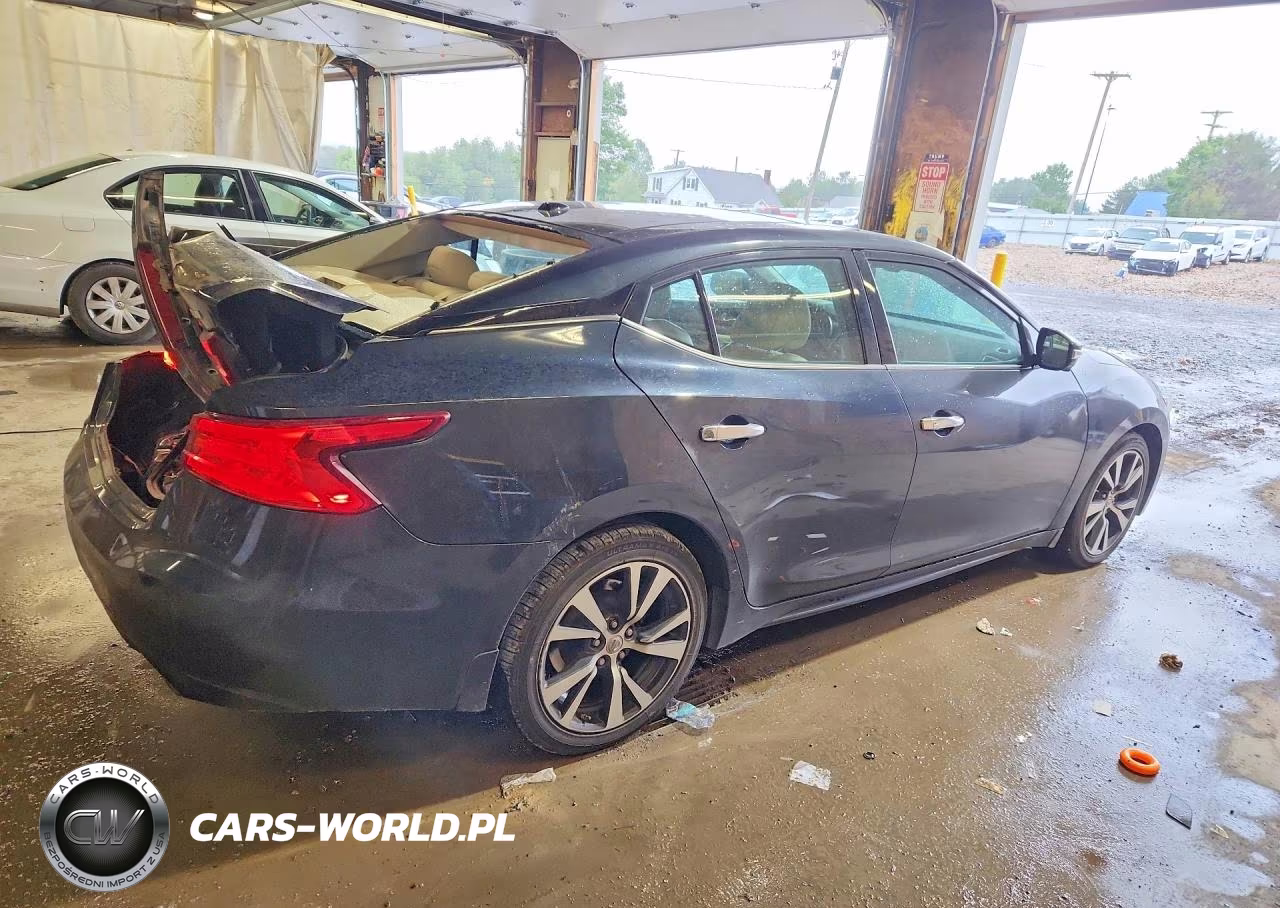 2016 Nissan Maxima Platinum VIN:1N4AA6AP3GC420091 - 3