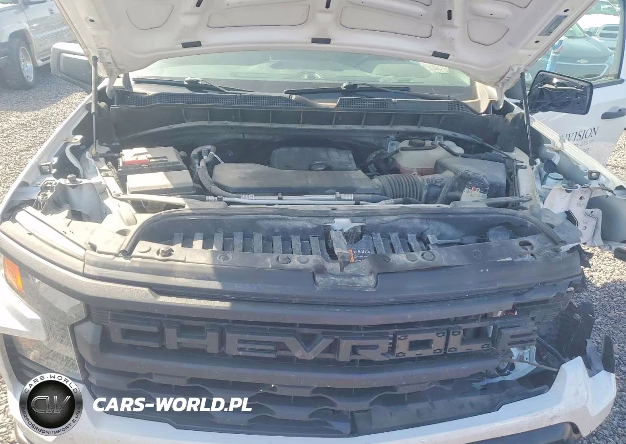 2024 Chevrolet Silverado C1500 VIN:3GCNAAEK0RG259518 - 11