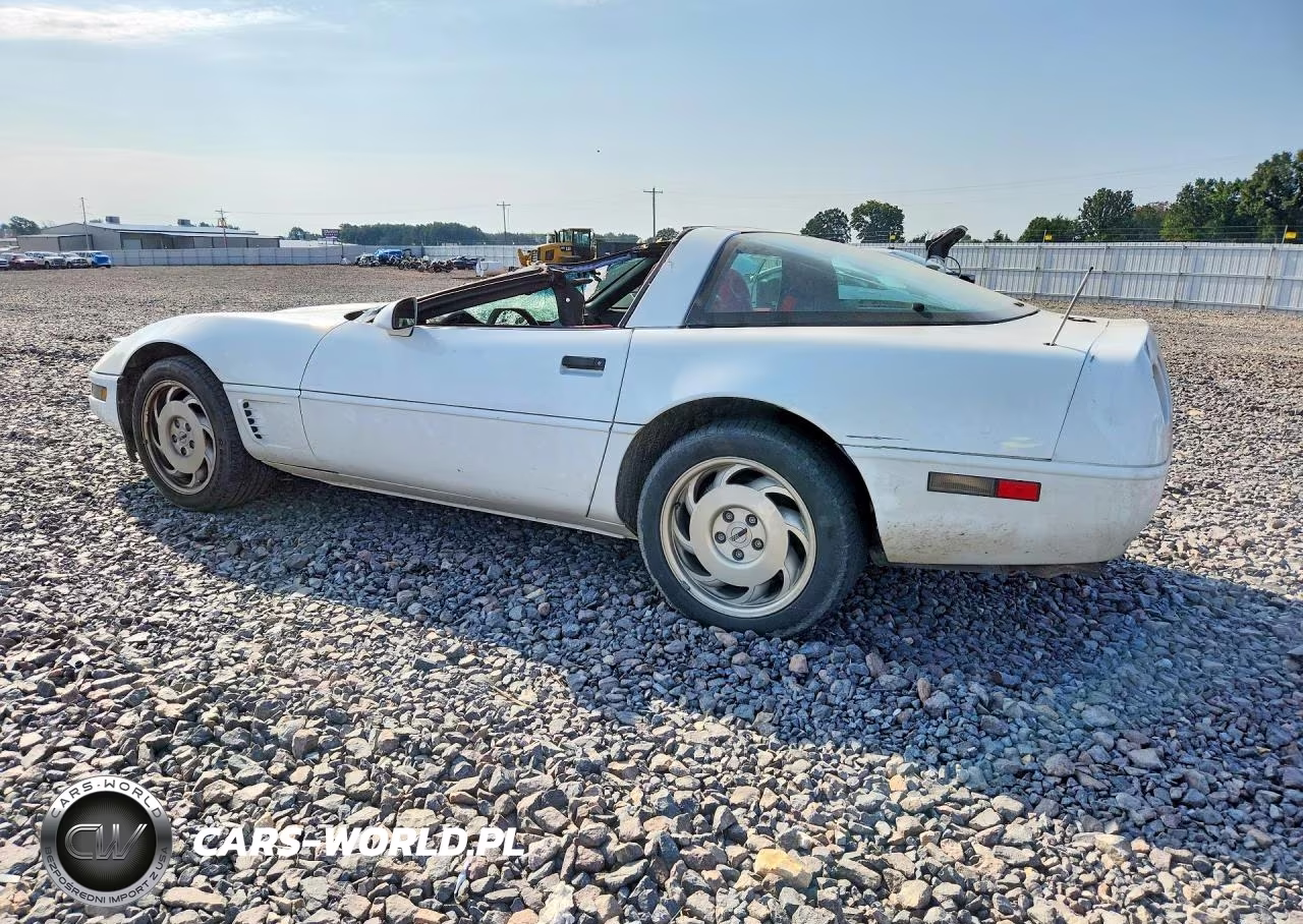 1996 Chevrolet Corvette VIN:1G1YY22P5T5120488 - 2
