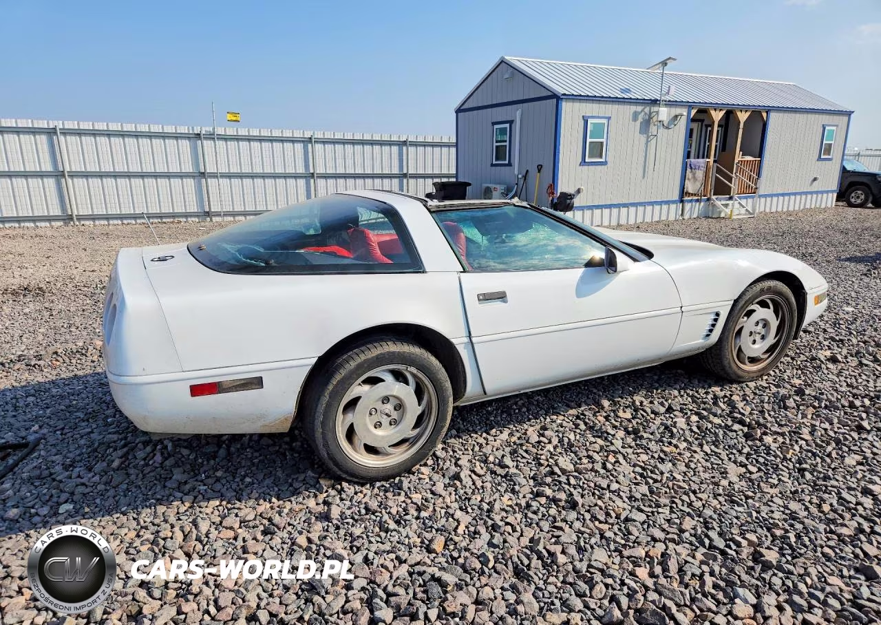 1996 Chevrolet Corvette VIN:1G1YY22P5T5120488 - 3