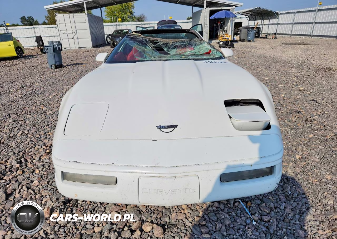 1996 Chevrolet Corvette VIN:1G1YY22P5T5120488 - 5