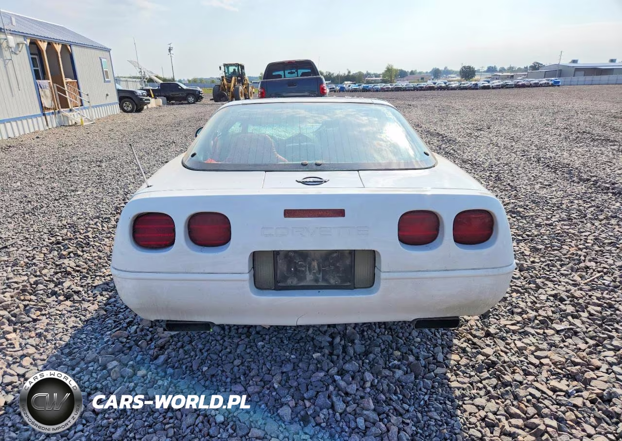 1996 Chevrolet Corvette VIN:1G1YY22P5T5120488 - 6