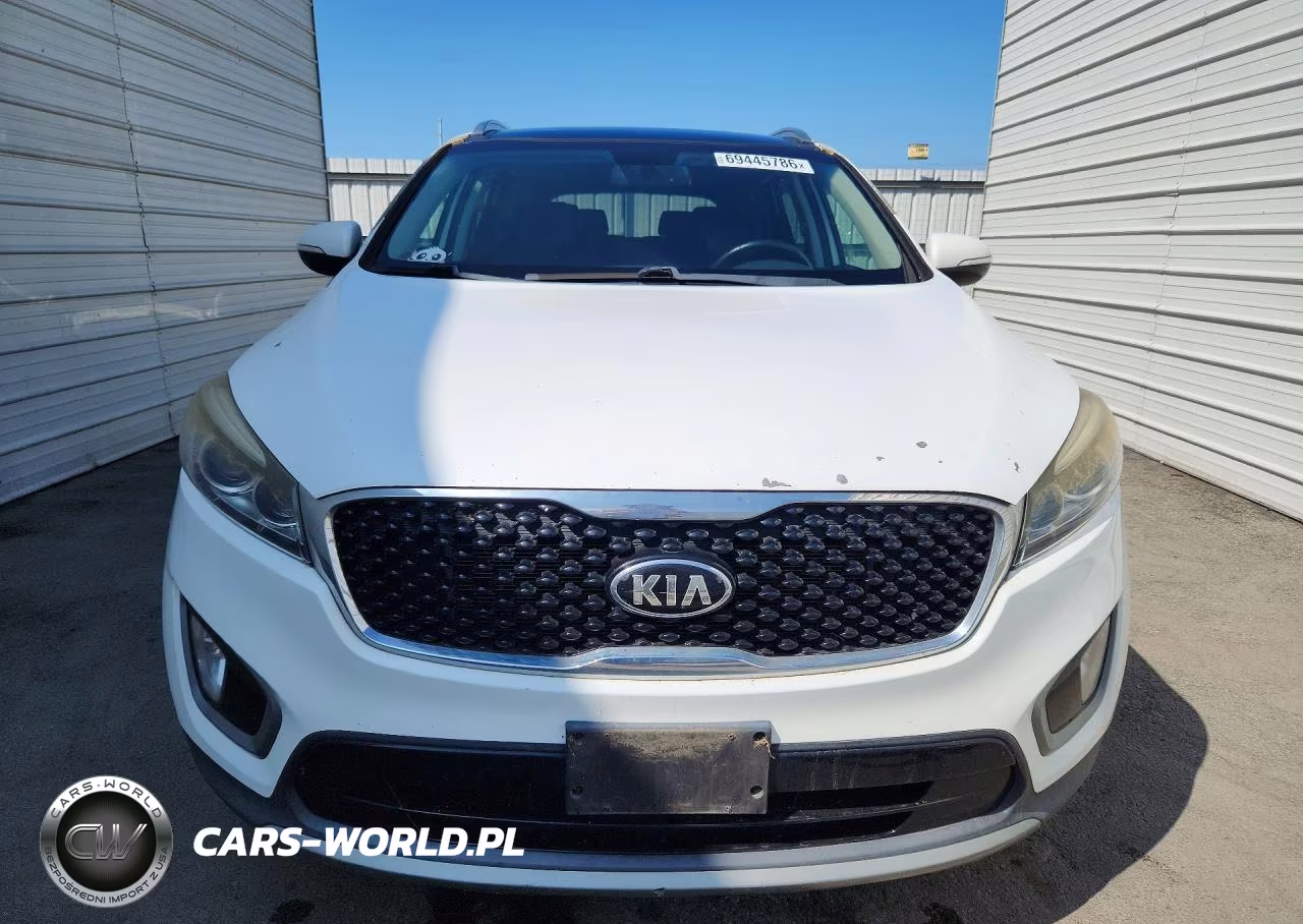 2016 Kia Sorento Ex VIN:5XYPH4A5XGG045797 - 5