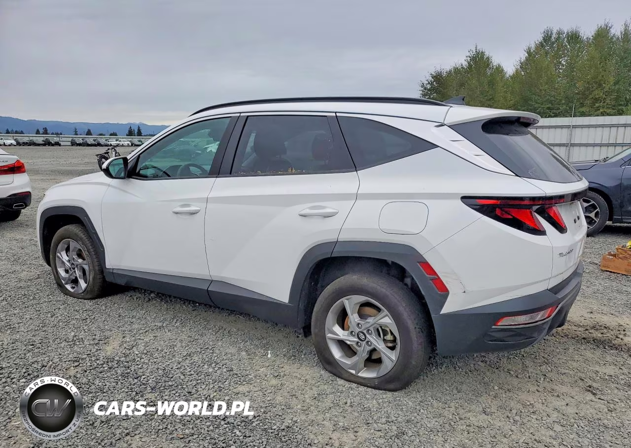 2024 Hyundai Tucson Sel VIN:5NMJBCDE0RH298987 - 2