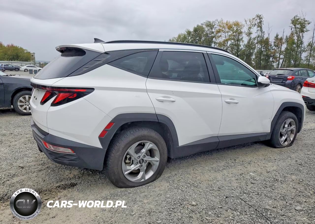 2024 Hyundai Tucson Sel VIN:5NMJBCDE0RH298987 - 3