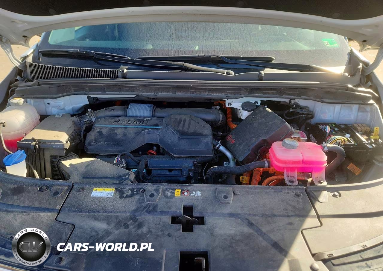 2025 Kia Carnival Hybrid Sx Prestige VIN:KNDNE5KA6S6030694 - 11