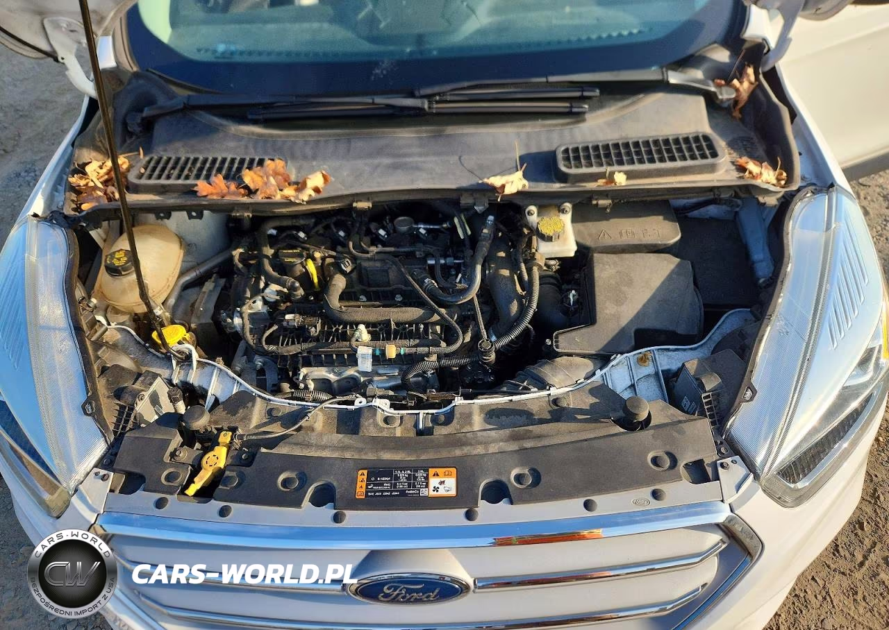 2019 Ford Escape Sel VIN:1FMCU9HD2KUC45788 - 12