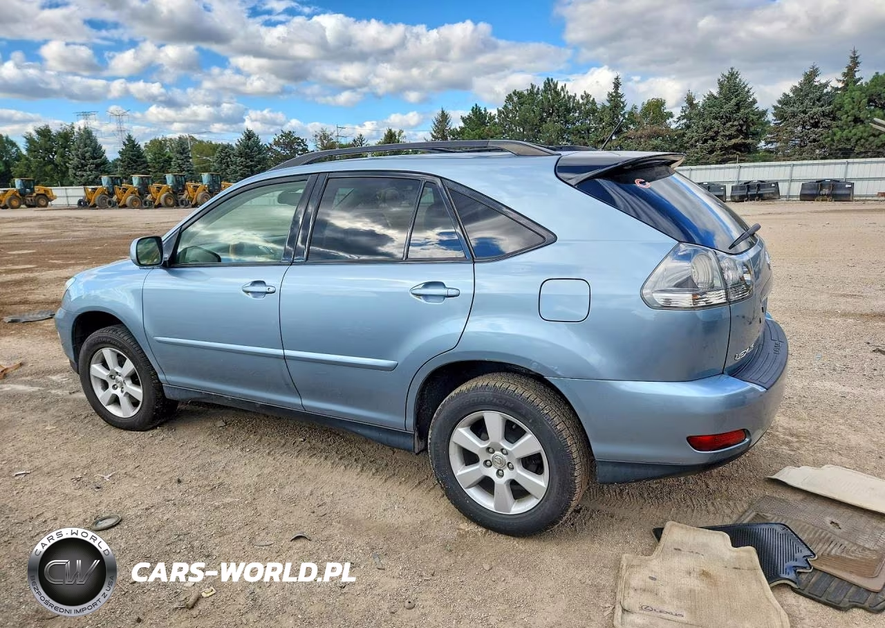 2004 Lexus Rx 330 VIN:JTJHA31U340065463 - 2