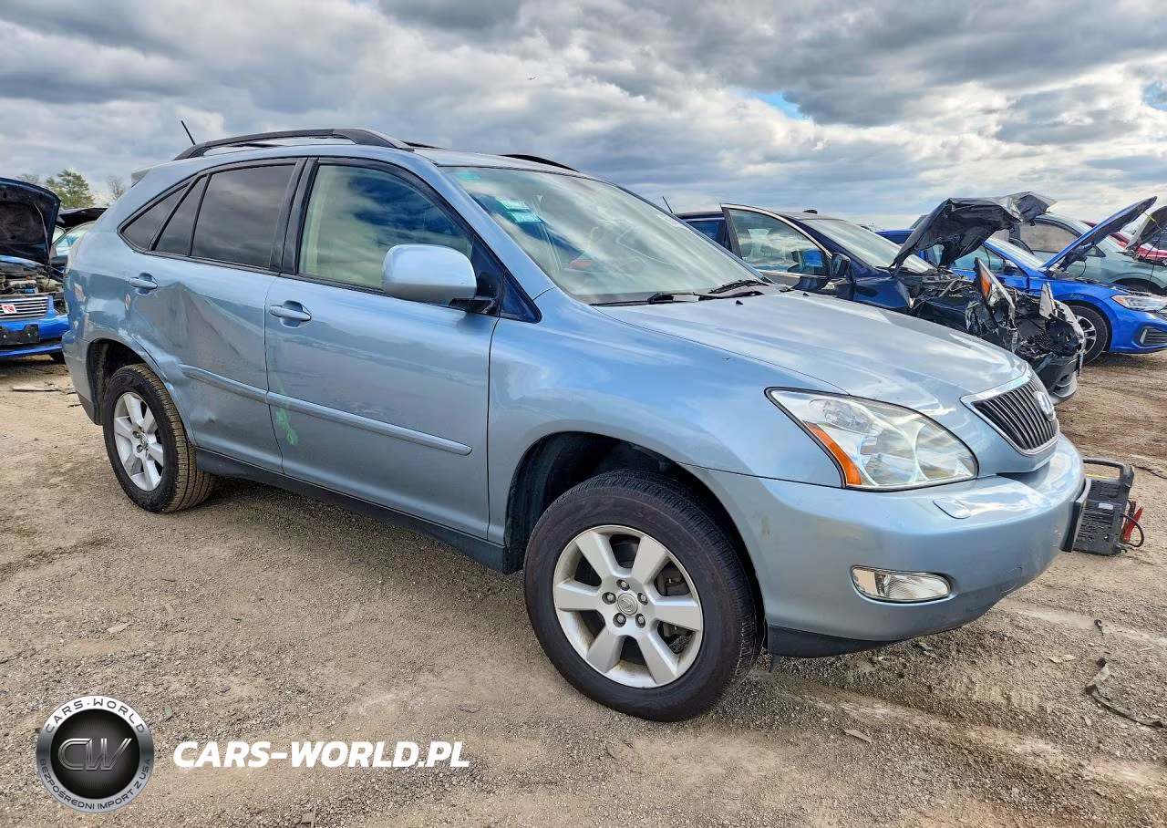 2004 Lexus Rx 330 VIN:JTJHA31U340065463 - 4
