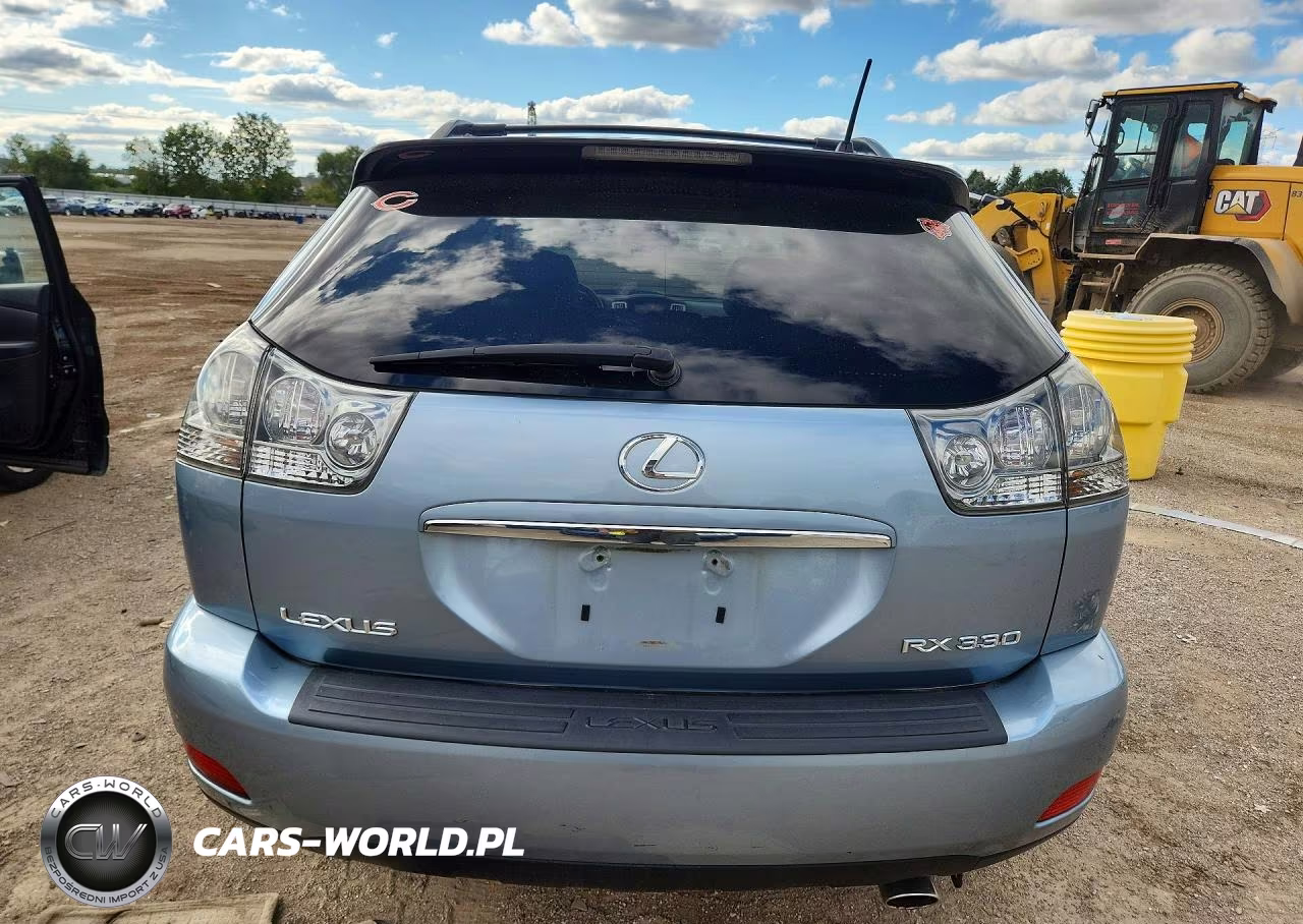 2004 Lexus Rx 330 VIN:JTJHA31U340065463 - 6