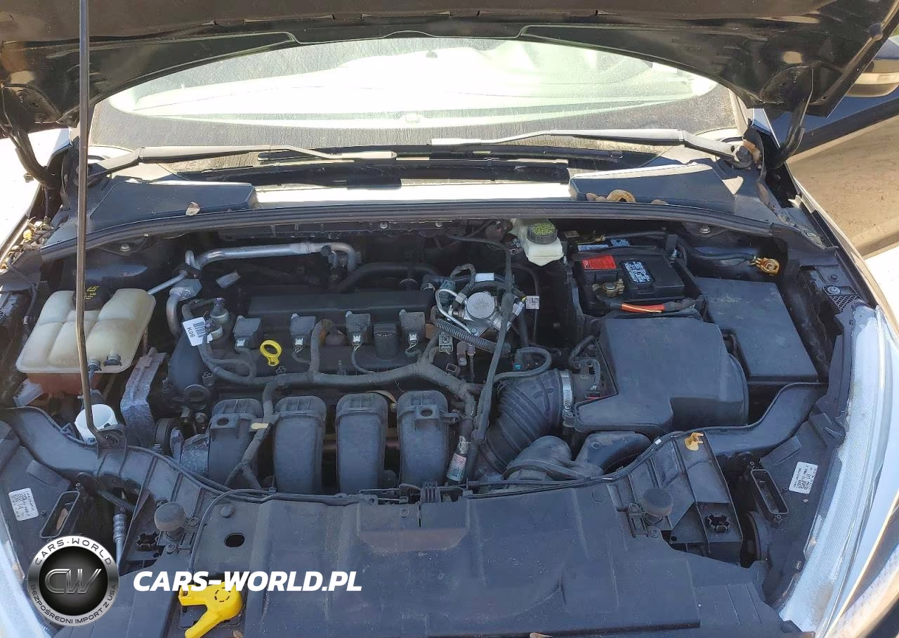 2017 Ford Focus Se VIN:1FADP3F21HL227835 - 11