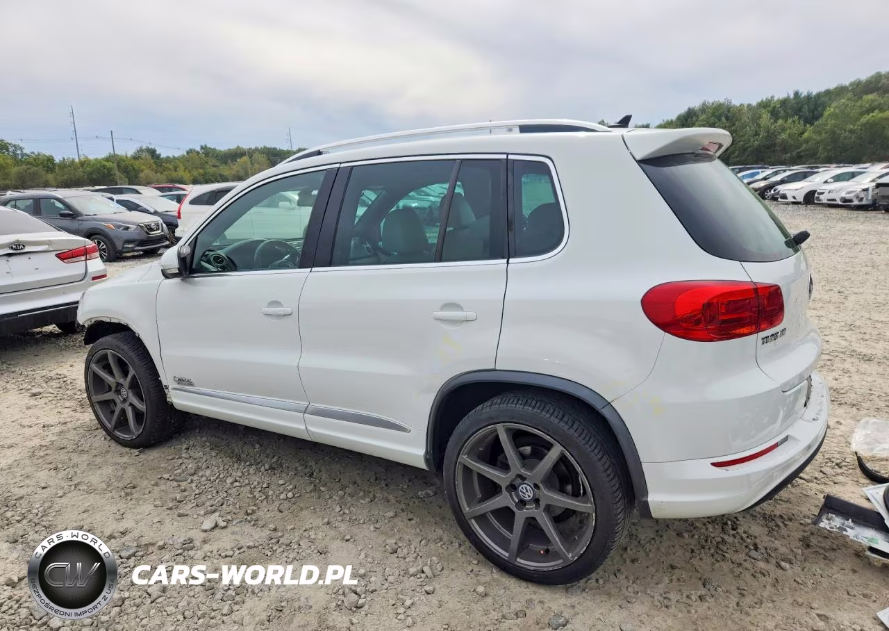 2015 Volkswagen Tiguan S VIN:WVGBV7AX9FW082262 - 2