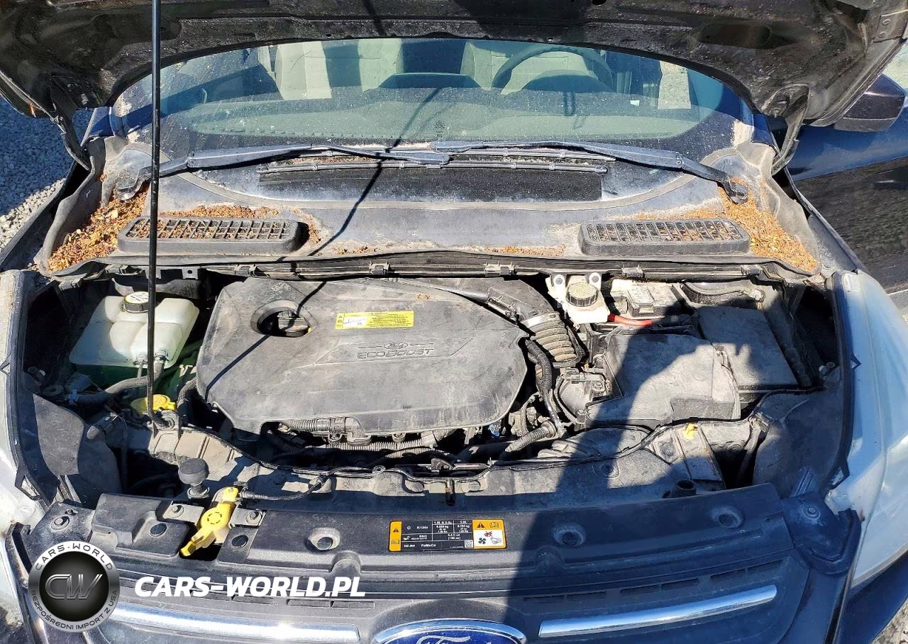 2013 Ford Escape Se VIN:1FMCU9GX3DUD39676 - 12